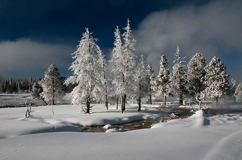 Cold snowy morning on the Upper Geyser Basin in Yellowstone National Park from January 2009