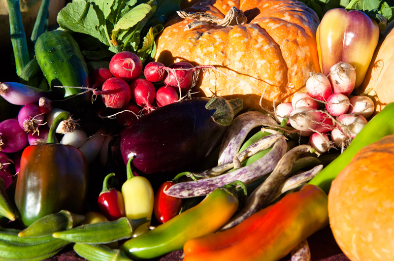 A table full of fresh veggies from Tonopah Rob's Vegetable Farm in Tonopah, Arizona