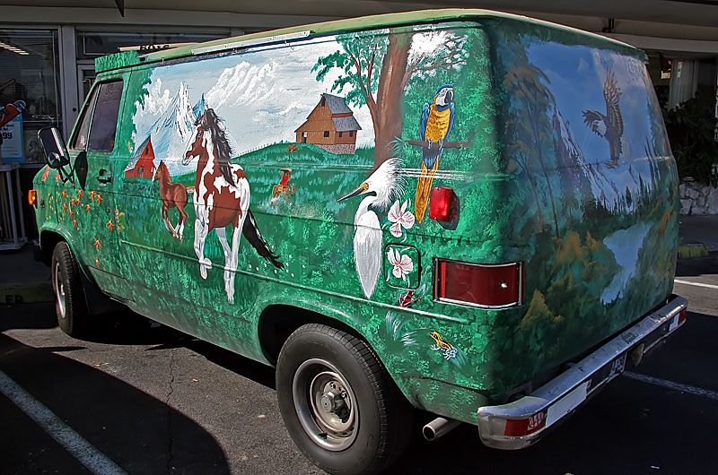 A custom paint job on this old van features a forest scene, mountains, horses, an eagle and various other birds
