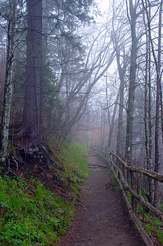 The Appalachian Trail on the Tennessee North Carolina border in the Smoky Mountains National Park