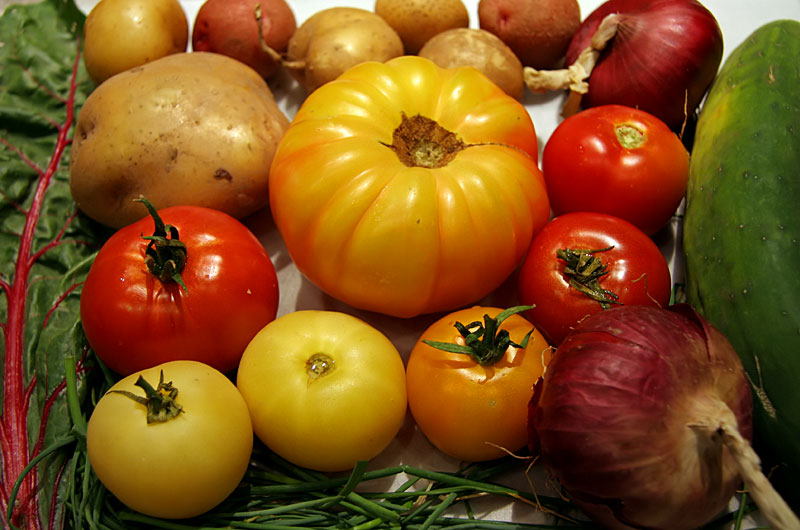 A sample of the vegetables we receive from Lauren of The Little Farm in Gilbert, the CSA - community supported agriculture, we have been subscribing too.