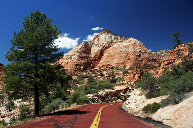 Standing in the middle of the road in Zion National Park in Utah looking at the red and white rock against the blue sky