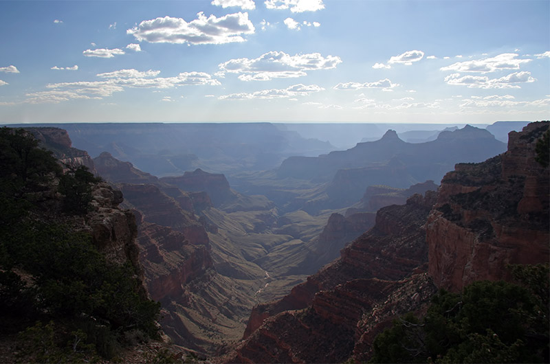 North Rim of the Grand Canyon looking into a hazy bluish corner of the canyon from Cape Royal under little fluffy white clouds on a perfect summer day