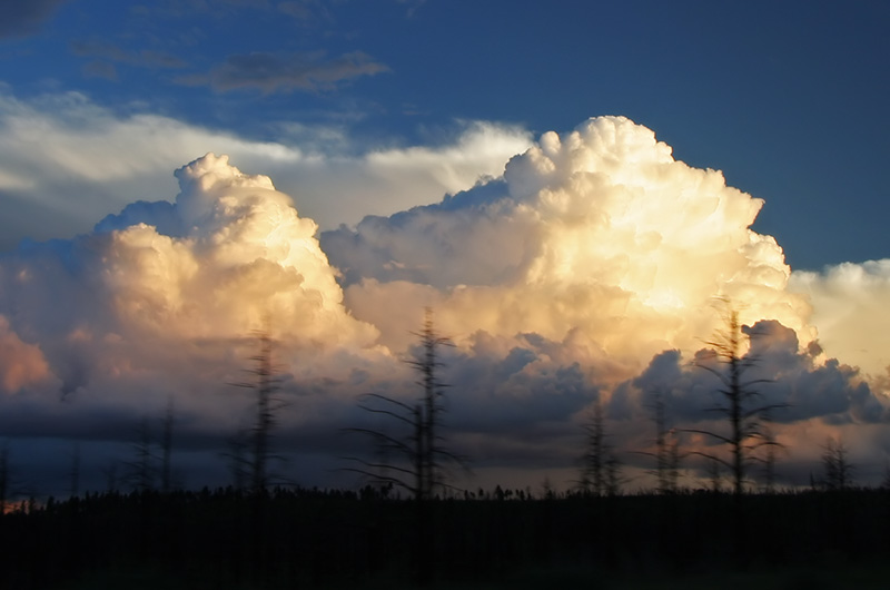 Monsoon clouds over Arizona