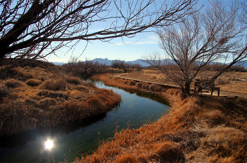 Ash Meadows National Wildlife Refuge in Amargosa Valley, Nevada showing off its golden winter colors waiting the return of the green of spring and summer