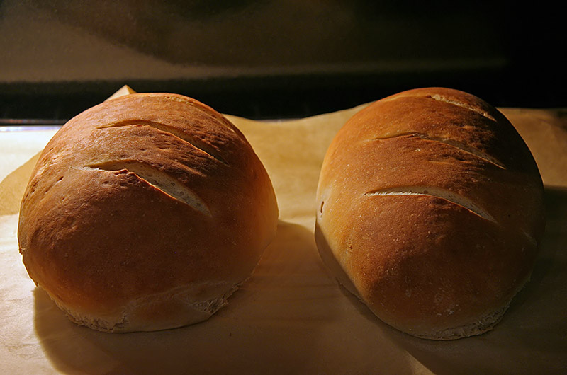 Sourdough bread in the oven