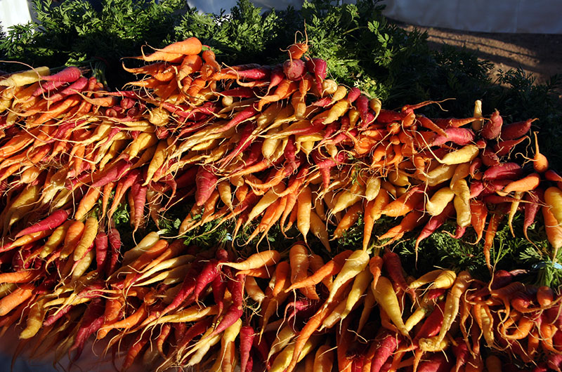 Carrots from Tonopah Rob's Vegetable Farm in Tonopah, Arizona