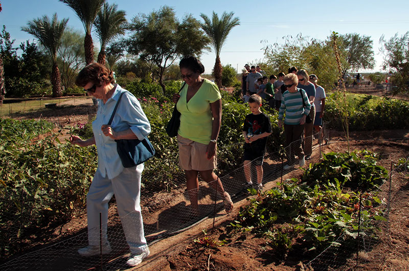 Taking a farm tour at Tonopah Rob's Vegetable Farm in Tonopah, Arizona