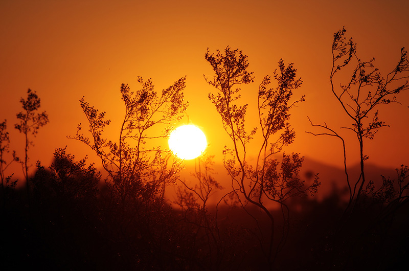 Sunrise in the desert southwest - Arizona