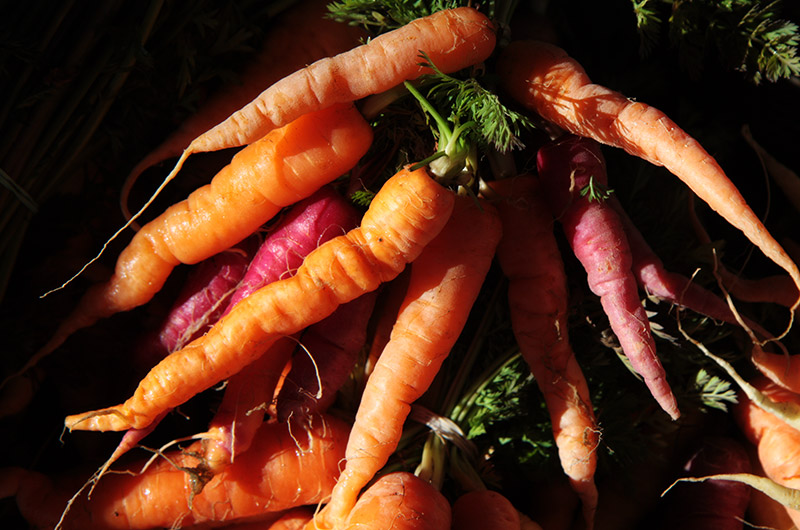 Carrots from Tonopah Rob's Vegetable Farm in Tonopah, Arizona