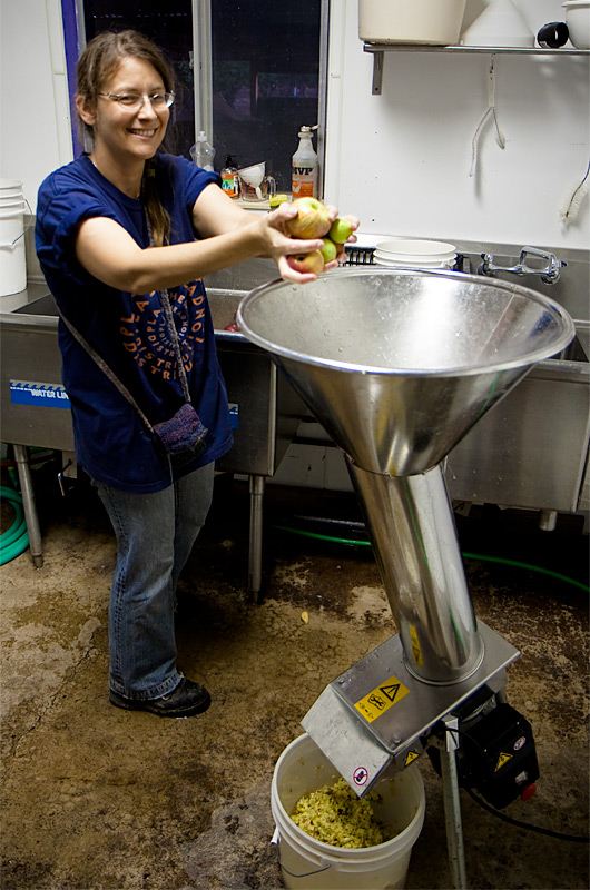 Caroline Wise tossing apples into a grinder to prepare the fruit for the press that will turn it into cider