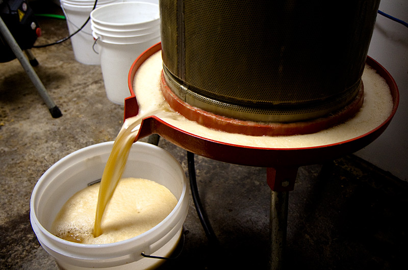 With the apple press working cider begins to flow heavily at Brown's Orchard in Willcox, Arizona