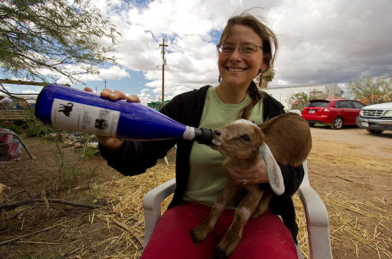 Caroline Wise bottle feeding a baby goat at Chile Acres in Tonopah, Arizona