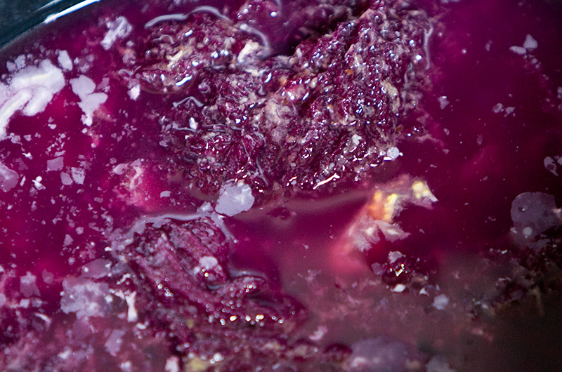 A bowl of magenta hued yarn being dyed with prickly pear fruit and urine by Caroline Wise
