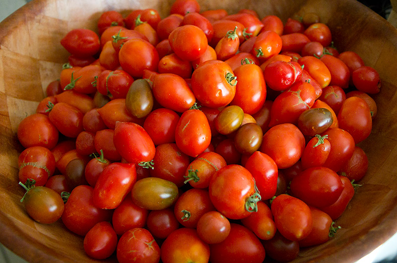Fifteen pounds of tomatoes from Tonopah Rob's Vegetable Farm in Tonopah, Arizona