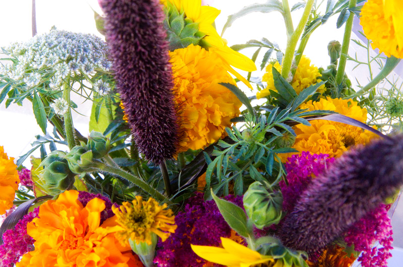 A bouquet of flowers from Tonopah Rob's Vegetable Farm