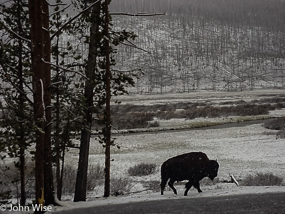 Yellowstone National Park, Wyoming