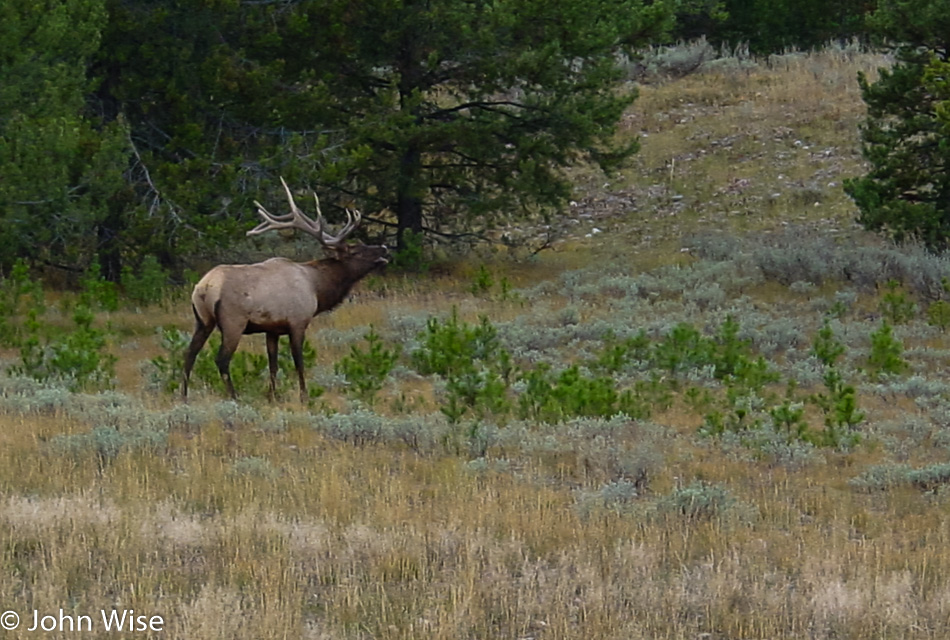 Grand Teton National Park in Wyoming