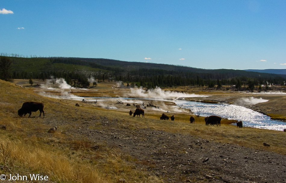 Yellowstone National Park in Wyoming