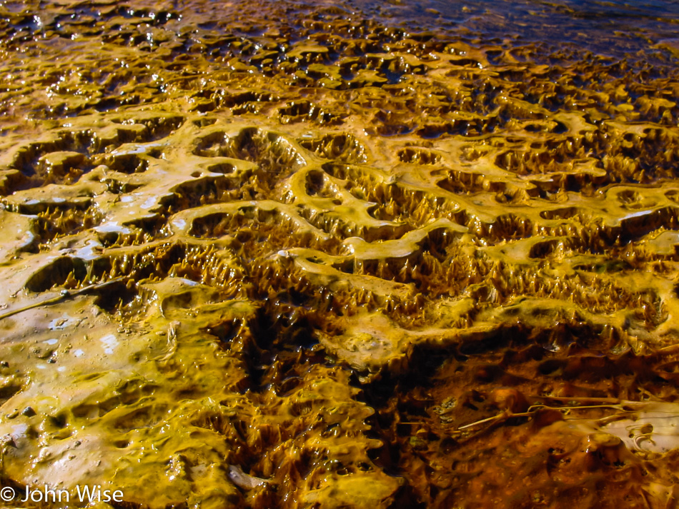 Yellowstone National Park in Wyoming