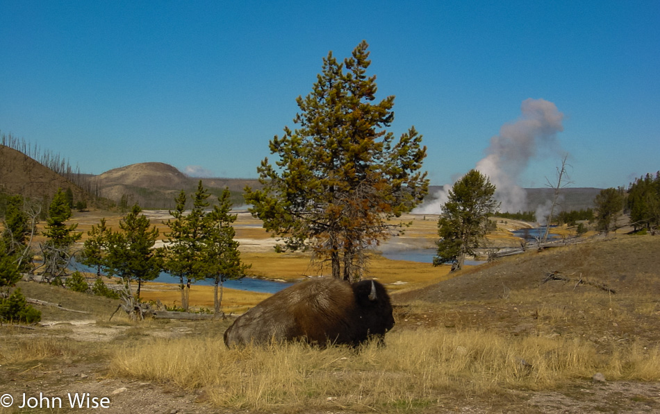 Yellowstone National Park in Wyoming