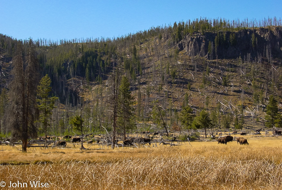 Yellowstone National Park in Wyoming