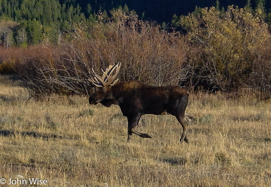 Grand Teton National Park in Wyoming