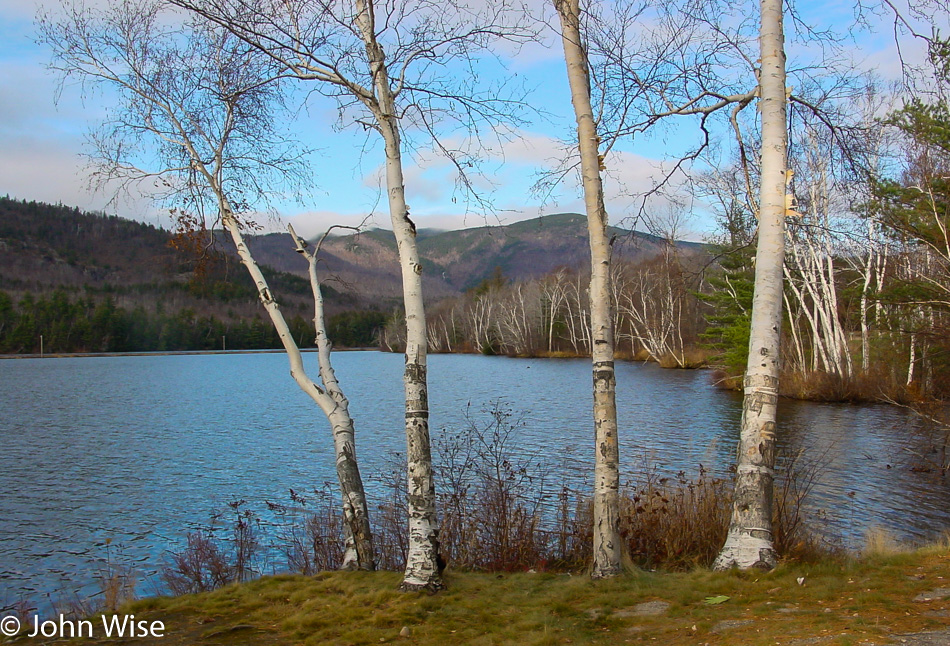 Pond in Shelburne, New Hampshire