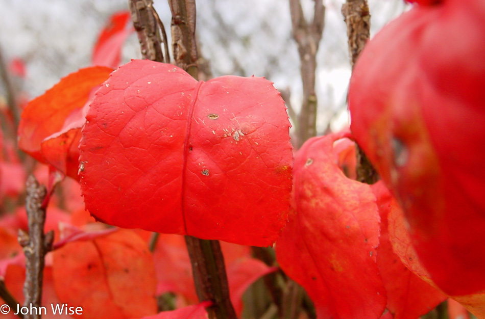 Fall colors in Lancaster County, Pennsylvania