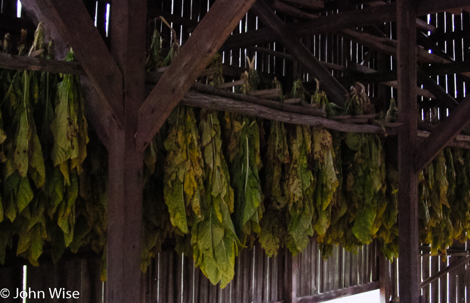 Drying tobacco along the Natchez Trace Parkway