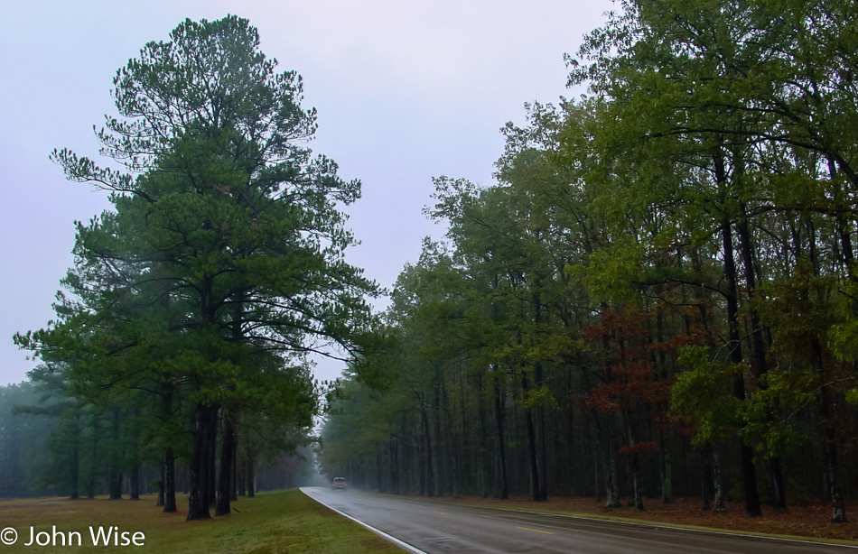 On the Natchez Trace Parkway in Mississippi 