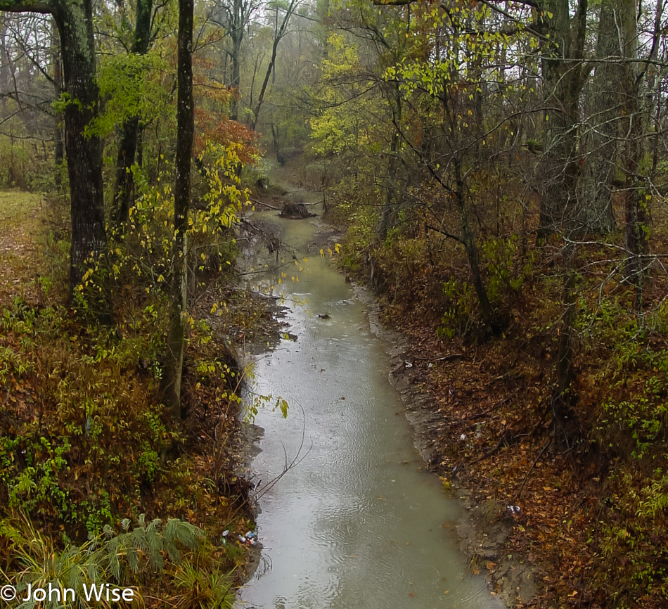 Creek along the Natchez Trace Parkway in Mississippi