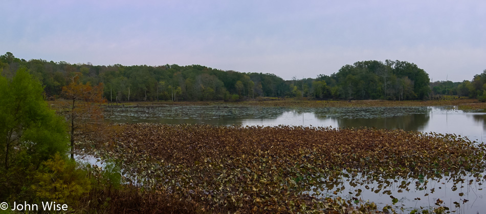 Pond on the Natchez Trace Parkway in Mississippi