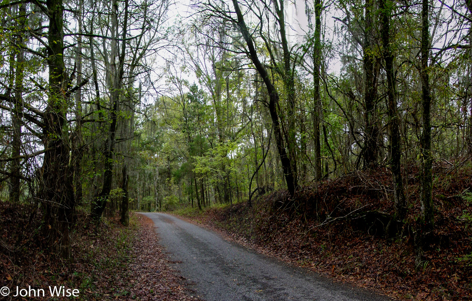 Side road off the Natchez Trace Parkway in Mississippi