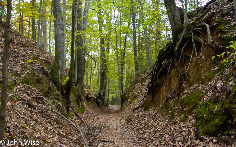 The original sunken Natchez Trace in Mississippi