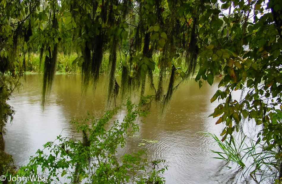 Lot's of water in Louisiana