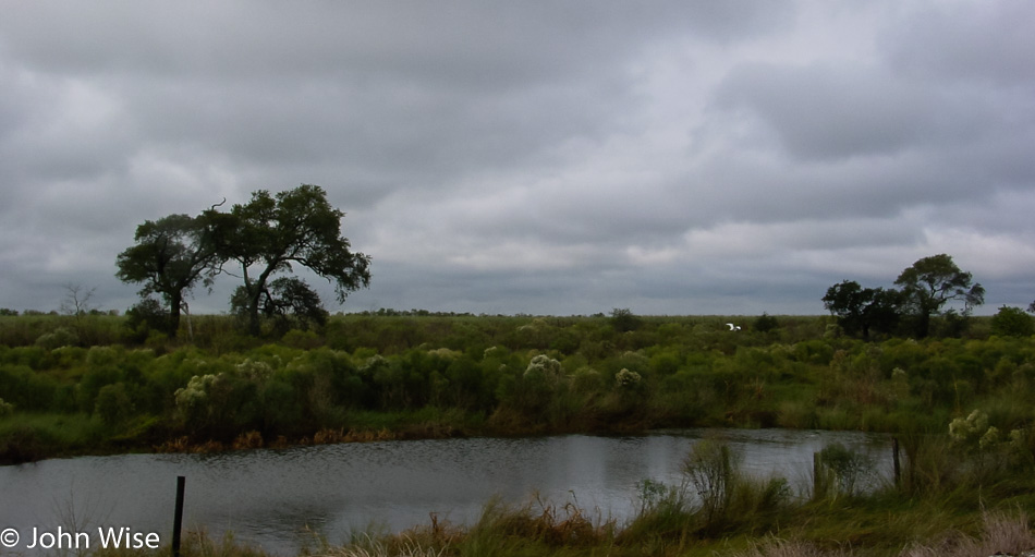 Creek in rural Louisiana