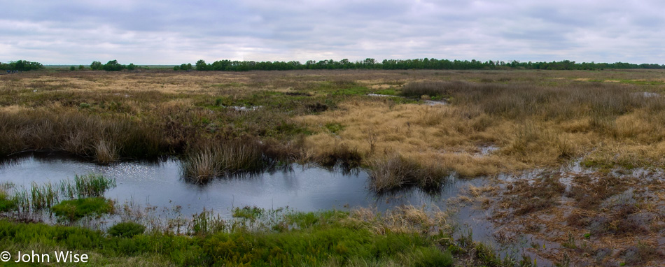 Wetlands of southern Louisiana