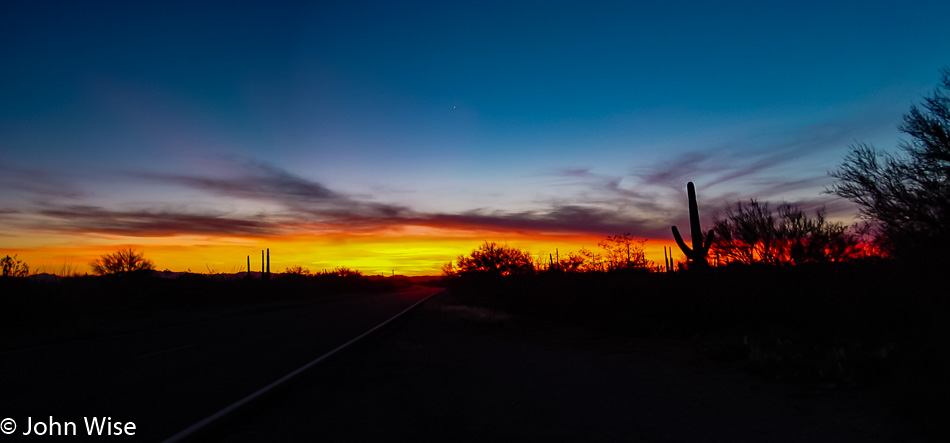 Cactus and speeding cars are the main attraction at Organ Pipe National Monument in Southern Arizona