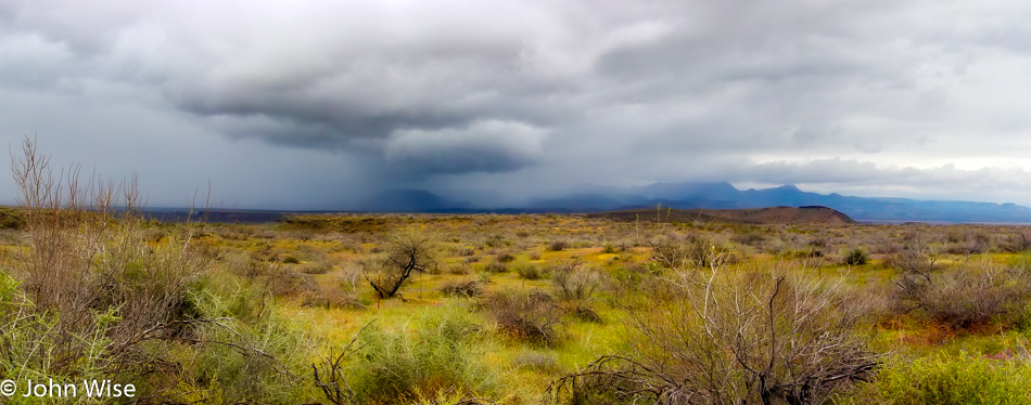 Arizona desert