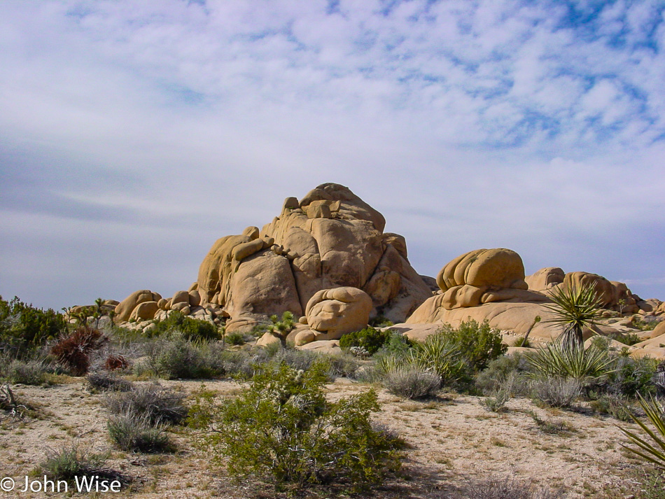 Joshua Tree, California