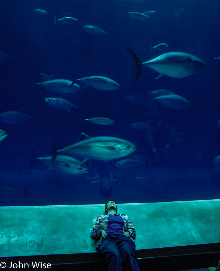 Caroline Wise in Monterey Bay Aquarium, California