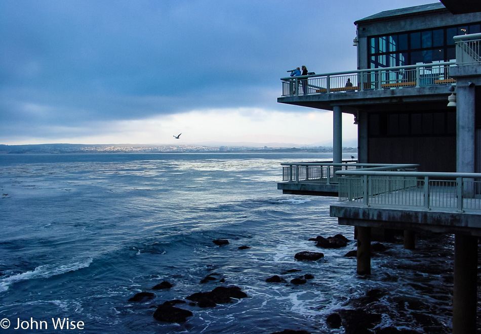 Monterey Bay Aquarium, California