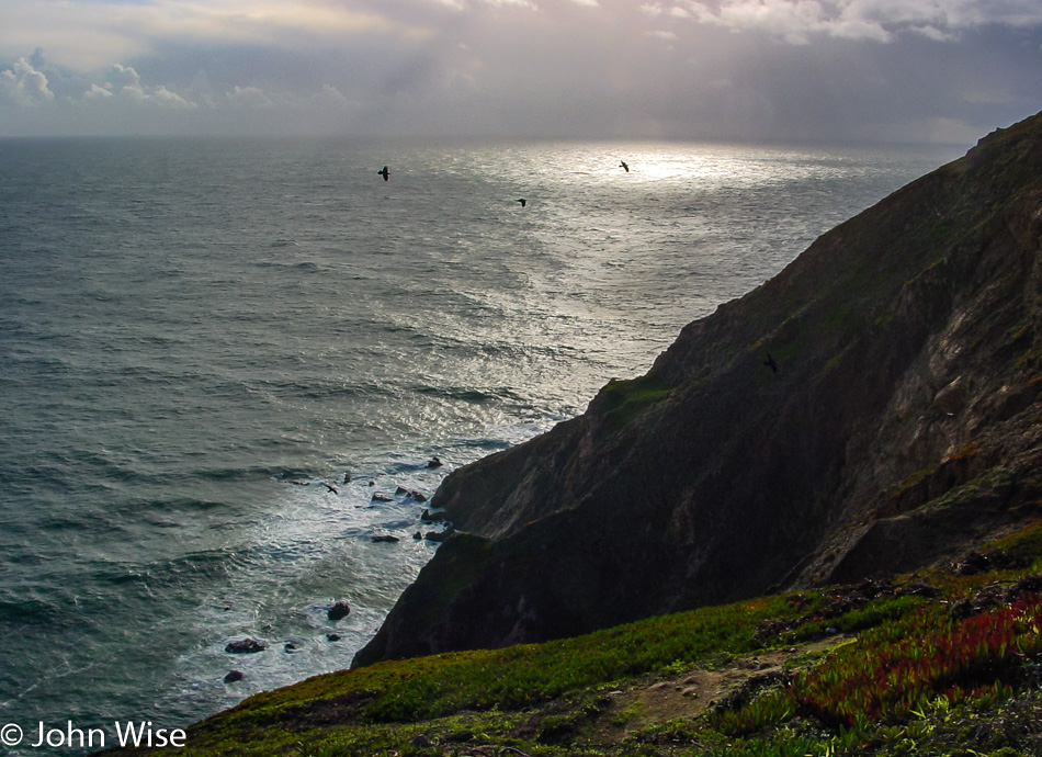 Pt Reyes, California