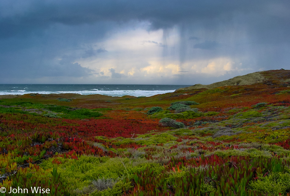 Pt Reyes, California