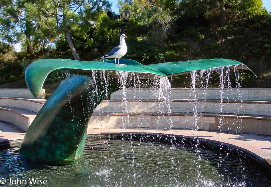 San Diego Aquarium 