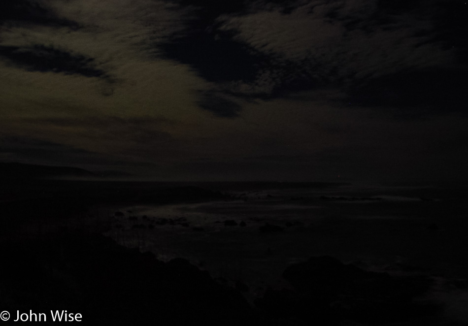 Elephant Seal colony at night near San Simeon, California