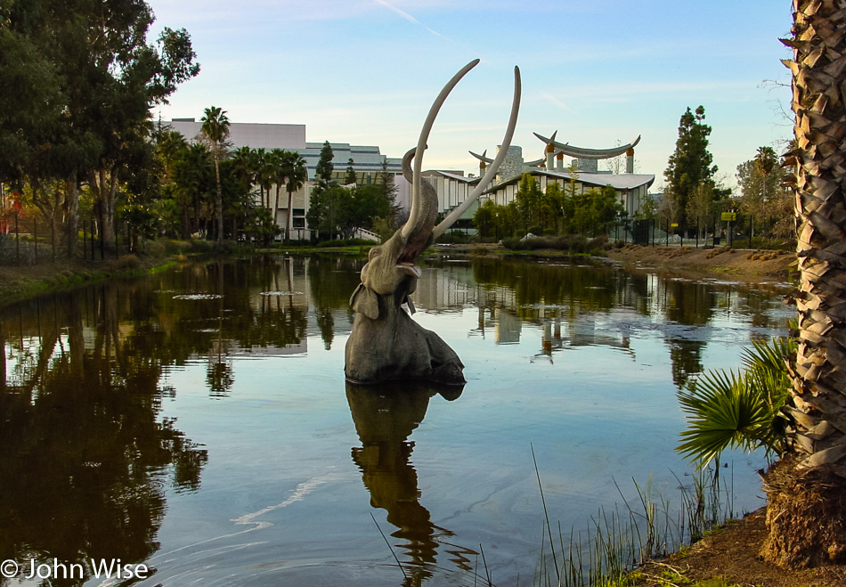 La Brea Tar Pits in Los Angeles, California