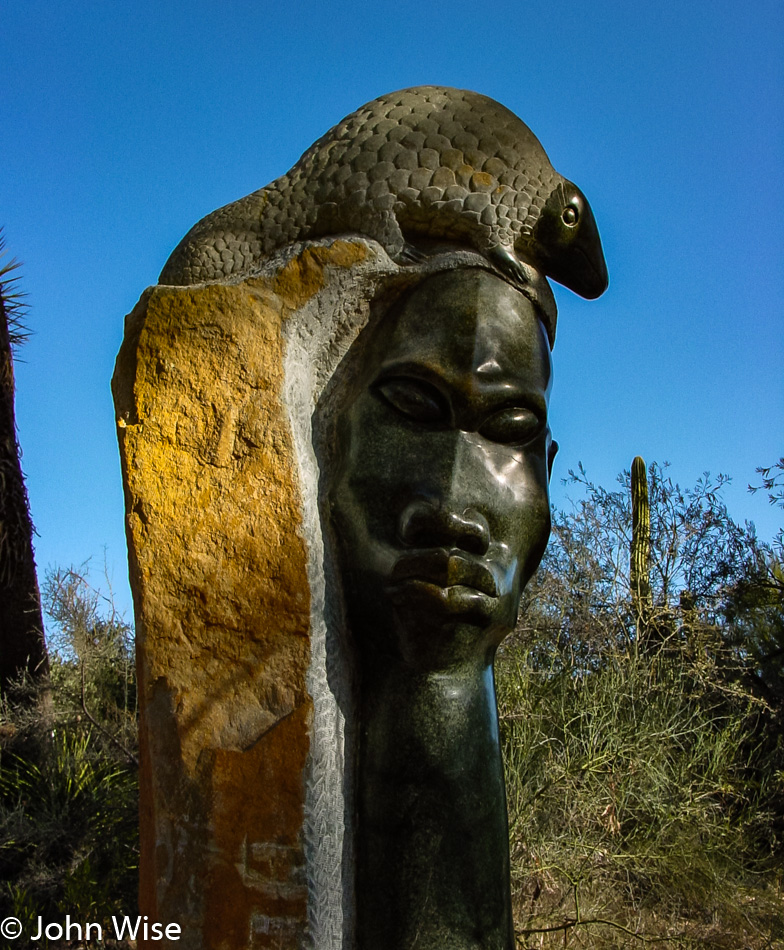  Chapungu Sculptures at the Boyce Thompson Arboretum State Park in Superior, Arizona