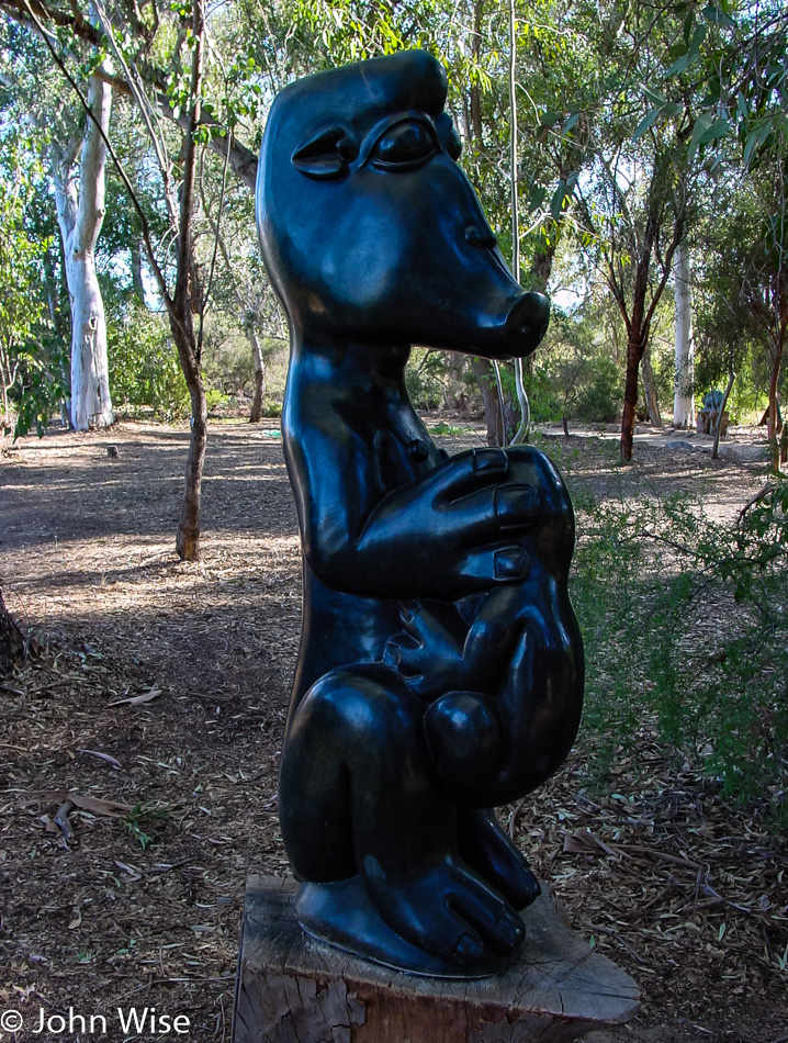  Chapungu Sculptures at the Boyce Thompson Arboretum State Park in Superior, Arizona